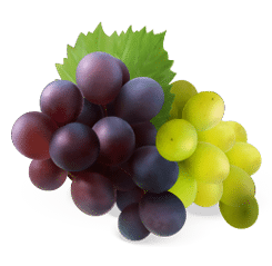 1490a2e3 Illustration 1 3