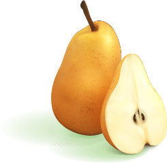 92b660a6 Illustration 1