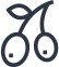 D586ce51 Icon 5